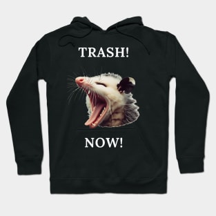 A possum demanding trash Hoodie